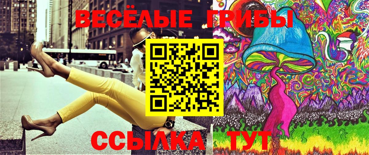 купить наркотик  Вход с VPN  Фрязино  Галлюциногенные грибы прущие грибы 